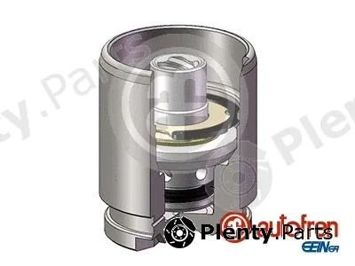 Autofren Seinsa D025120K — Piston, brake caliper