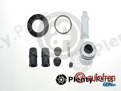 Autofren Seinsa D41105C — Repair Kit, brake caliper