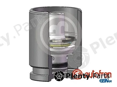 Autofren Seinsa D02519K — Piston, brake caliper