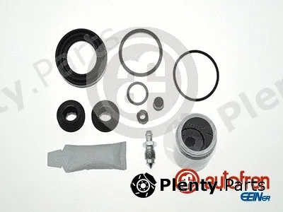 Autofren Seinsa D42225C — Repair Kit, brake caliper