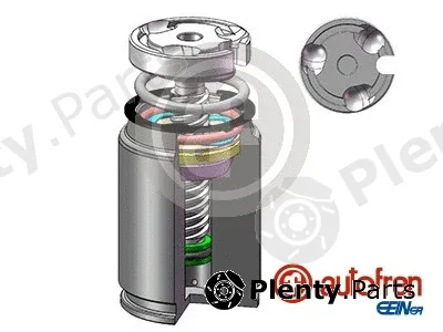 Autofren Seinsa D02545RK — Piston, brake caliper