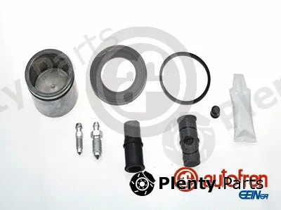 Autofren Seinsa D41173C — Repair Kit, brake caliper