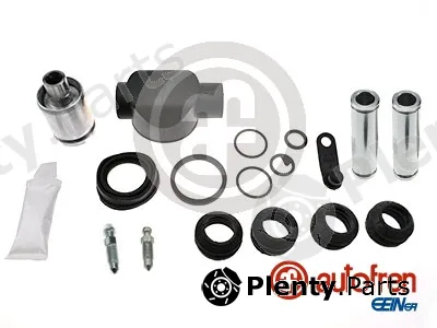 Autofren Seinsa D43481S — Repair Kit, brake caliper