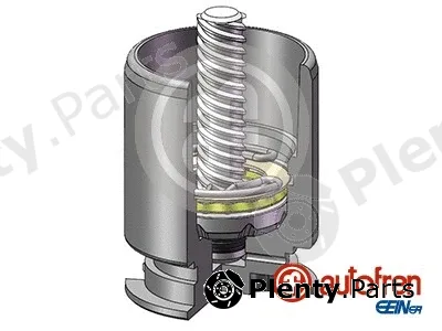 Autofren Seinsa D02554LK — Piston, brake caliper