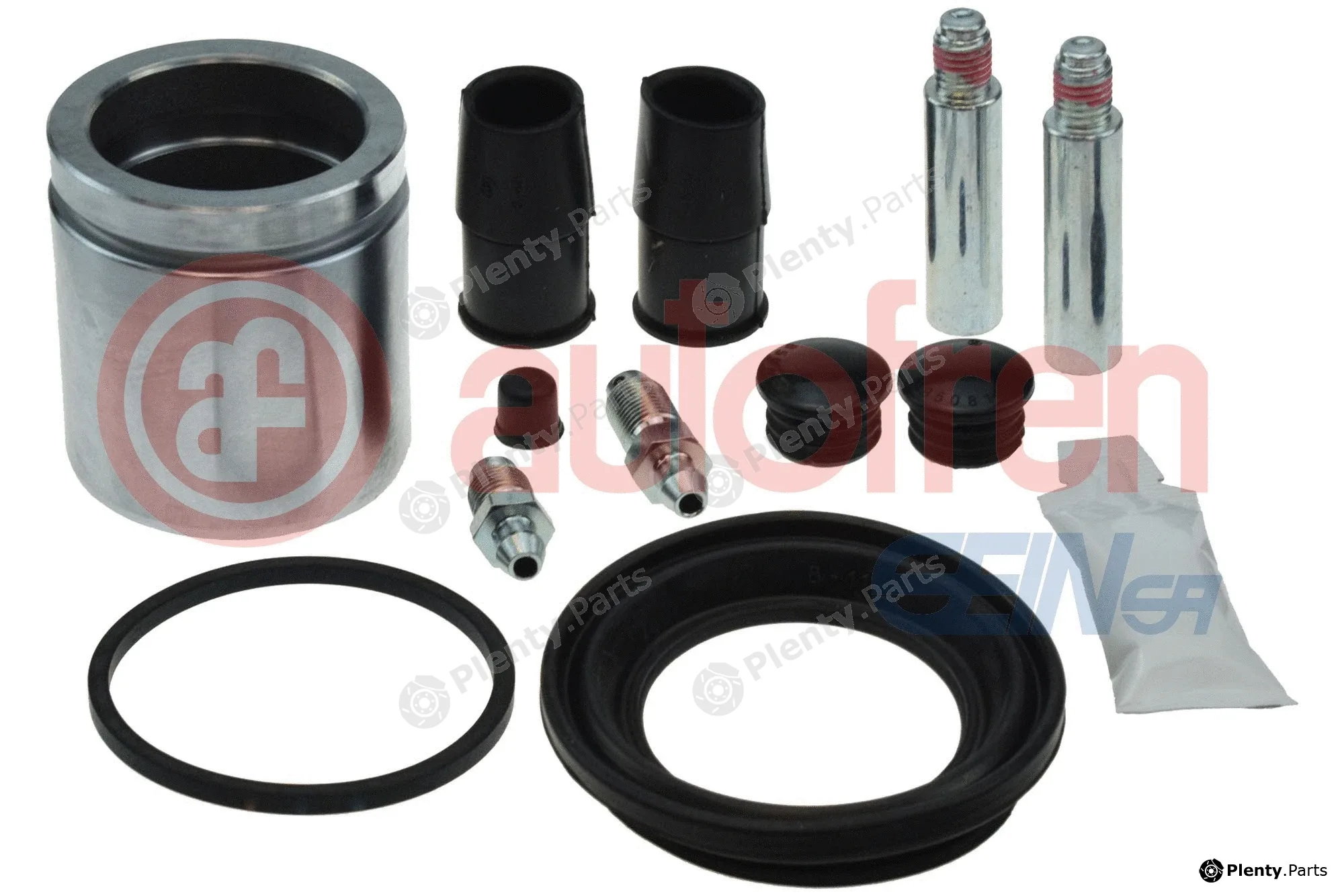 Autofren Seinsa D43496S — Repair Kit, brake caliper