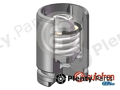 Autofren Seinsa D02526K — Piston, brake caliper