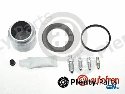 Autofren Seinsa D41807C — Repair Kit, brake caliper