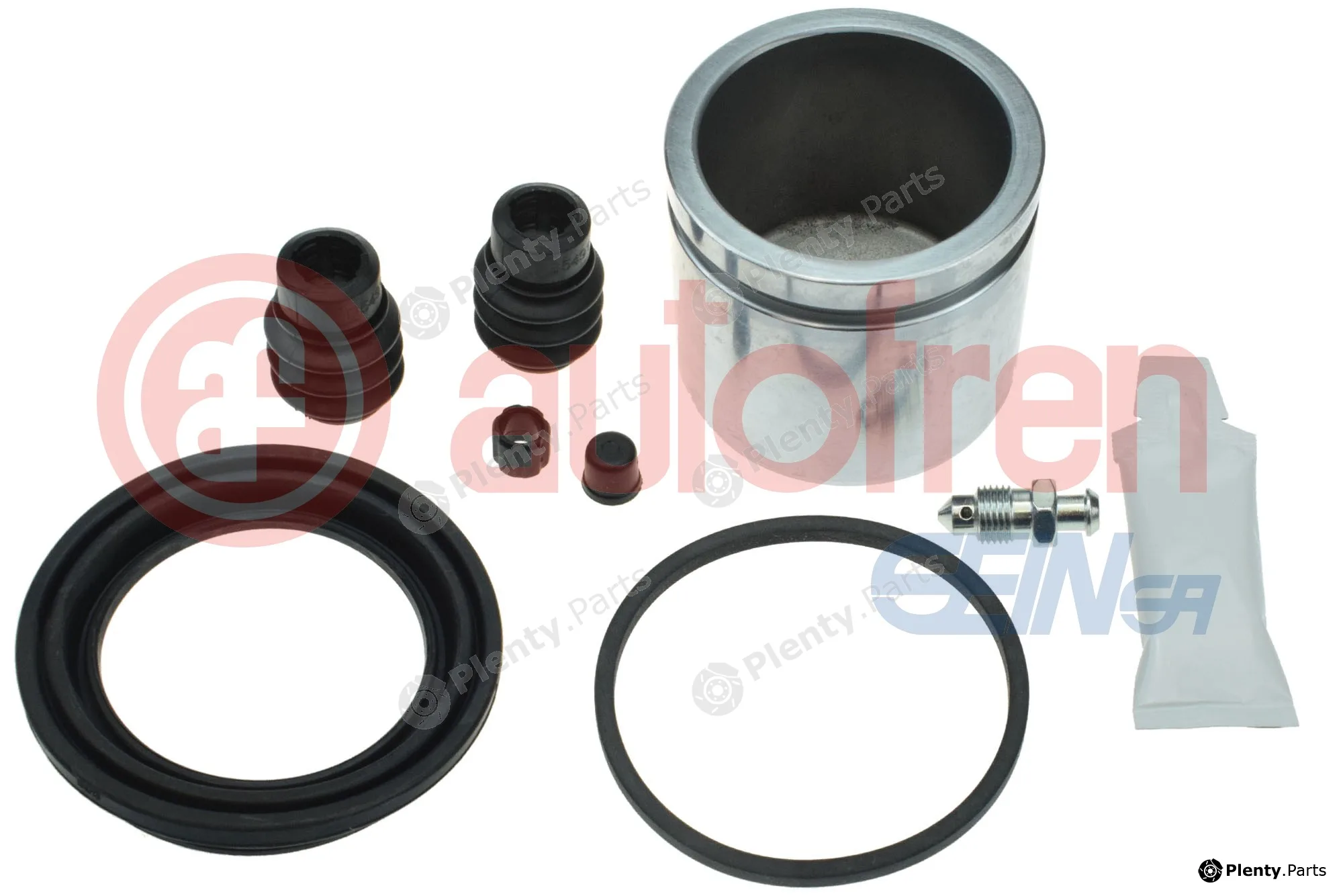Autofren Seinsa D43199C — Repair Kit, brake caliper