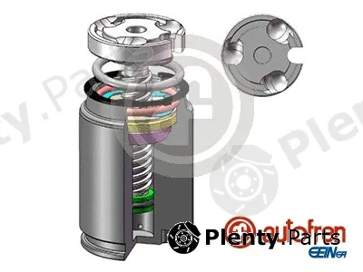 Autofren Seinsa D02545LK — Piston, brake caliper