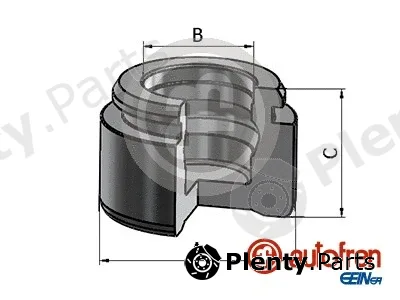 Autofren Seinsa D025821 — Piston, brake caliper