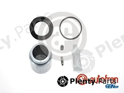 Autofren Seinsa D42554C — Repair Kit, brake caliper
