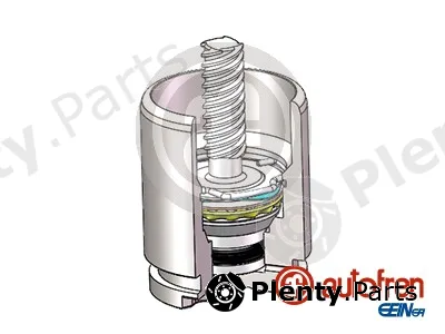 Autofren Seinsa D025816K — Piston, brake caliper