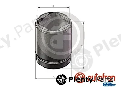 Autofren Seinsa D025684 — Piston, brake caliper
