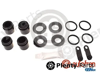 Autofren Seinsa D43181C — Repair Kit, brake caliper