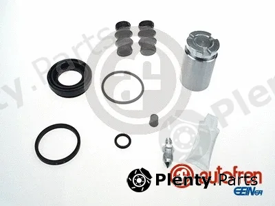 Autofren Seinsa D42248C — Repair Kit, brake caliper