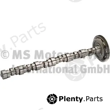 BF 20100346005 — Camshaft