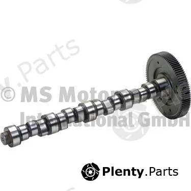 BF 20100510134 — Camshaft