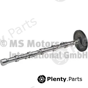 BF 20100228763 — Camshaft