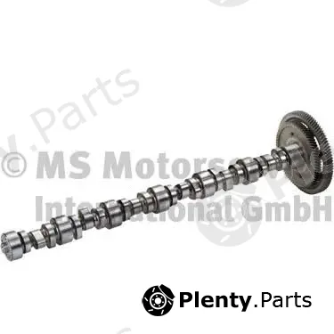 BF 20100345700 — Camshaft