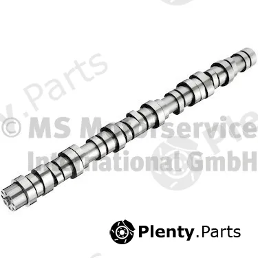 BF 20100413010 — Camshaft