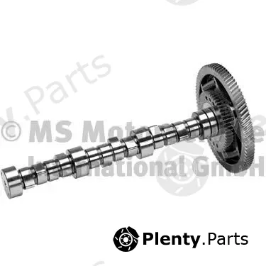 BF 20100344101 — Camshaft