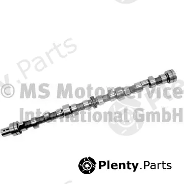 BF 20100335202 — Camshaft