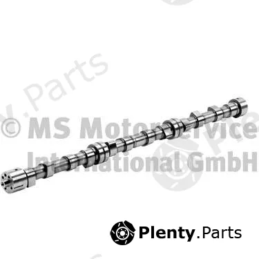 BF 20100221562 — Camshaft