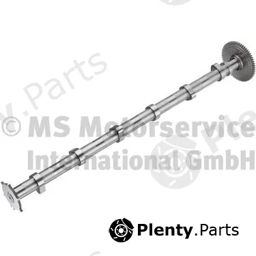 BF 20100911000 — Camshaft