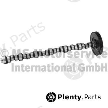 BF 20100510130 — Camshaft
