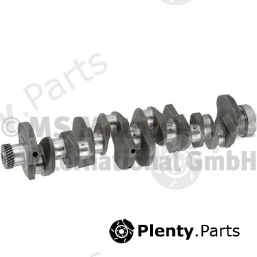 BF 20050591266 — Crankshaft