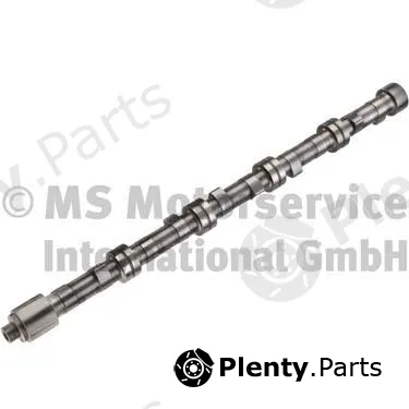 BF 20100541325 — Camshaft