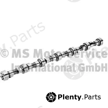 BF 20100208361 — Camshaft