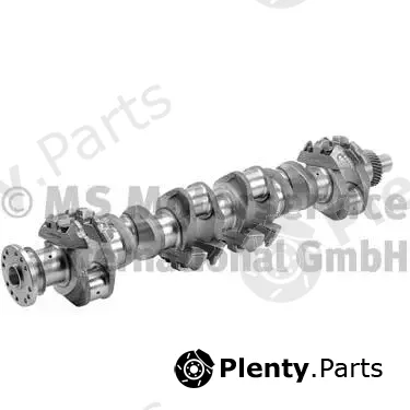 BF 20050335500 — Crankshaft