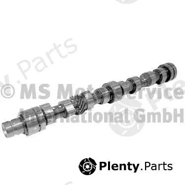 BF 20100336400 — Camshaft