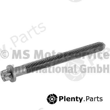 BF 20080510139 — Cylinder Head Bolt
