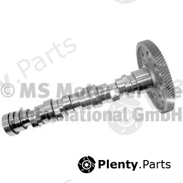 BF 20100350100 — Camshaft
