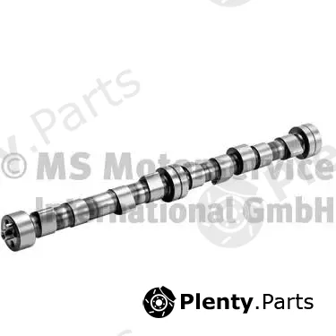 BF 20100208240 — Camshaft