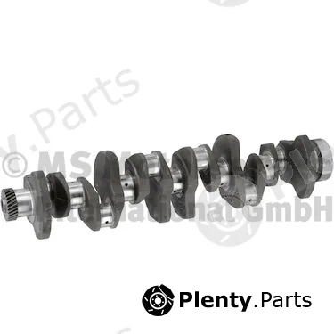 BF 20050591366 — Crankshaft