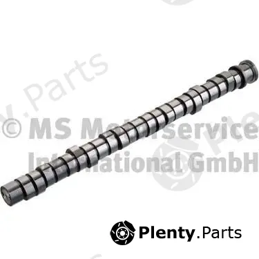 BF 20100412005 — Camshaft