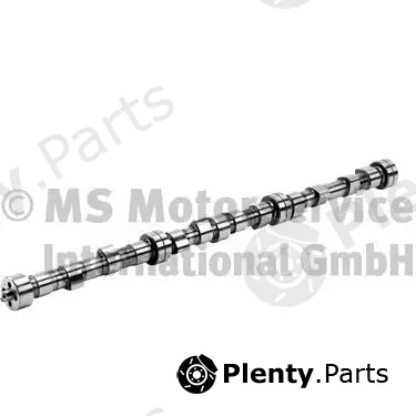 BF 20100208261 — Camshaft