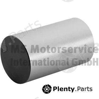 BF 20100336060 — Tappet