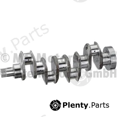 BF 20051942366 — Crankshaft