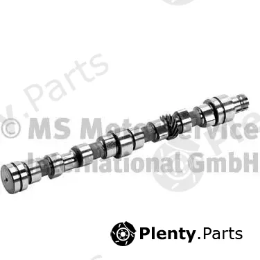 BF 20100336401 — Camshaft