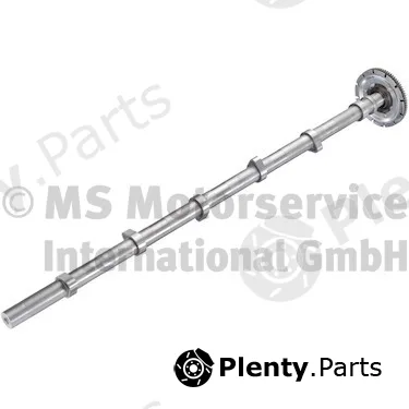 BF 20100347301 — Camshaft
