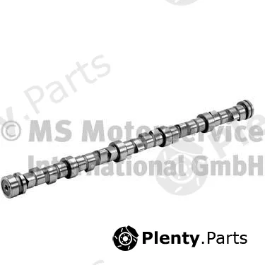 BF 20100541302 — Camshaft
