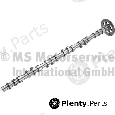 BF 20100347104 — Camshaft