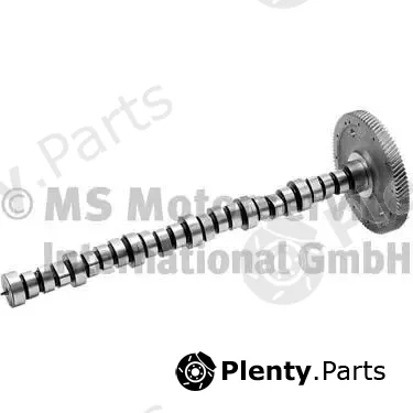 BF 20100390601 — Camshaft