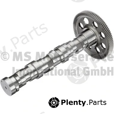 BF 20100354100 — Camshaft