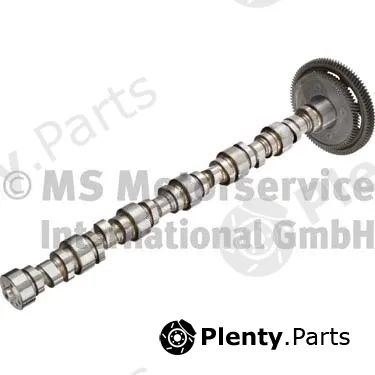 BF 20100345701 — Camshaft