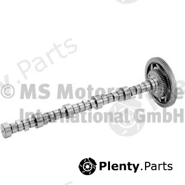 BF 20100225300 — Camshaft
